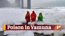 WATCH: People Perform Chhath Puja In Toxic Yamuna Water
