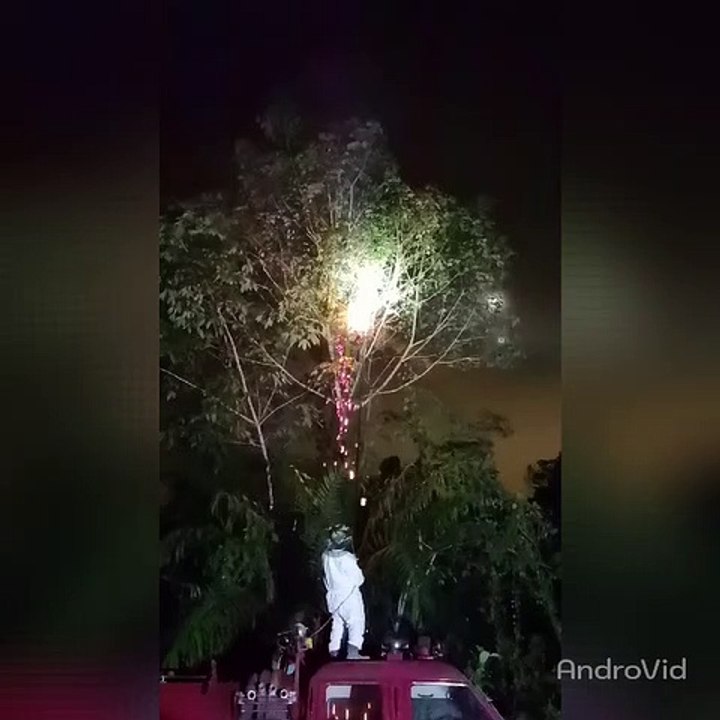 文积新村志愿消防队     漏夜出动灭蜂巢