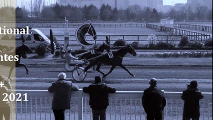 Pronostic pour la course du Quinté PMU du mercredi 10 novembre 2021