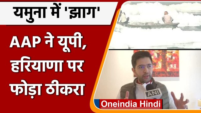 Yamuna Toxic Foam: Raghav Chadha बोले- UP और Haryana यमुना को कर रहे हैं गंदा | वनइंडिया हिंदी