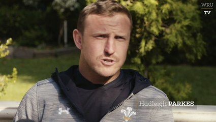 Hadleigh Parkes