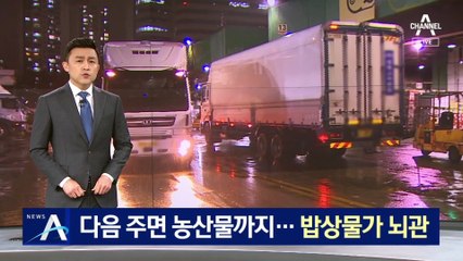 요소수 대란에 농산물 운송 차질…밥상 물가 뇌관