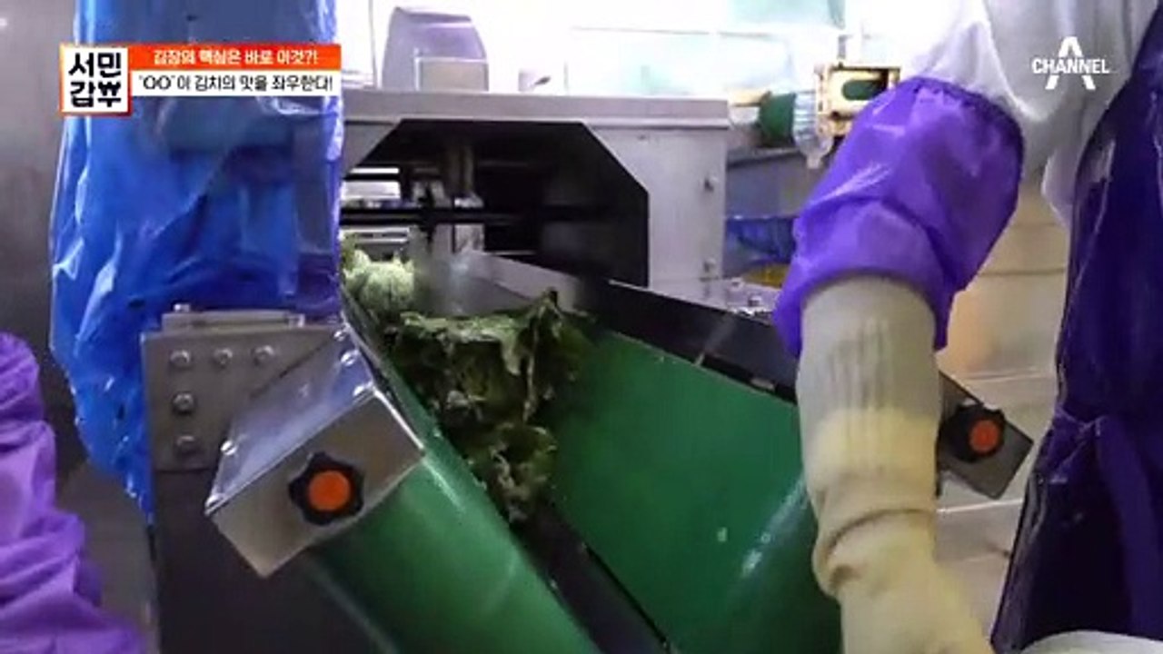 배추 겉잎을 버리지 않는 것이 김치 갑부의 노하우?!