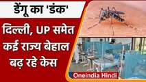 Dengue in India: UP-Delhi-Rajasthan-Punjab समेत कई राज्य बेहाल, कितने खराब हालात ? | वनइंडिया हिंदी