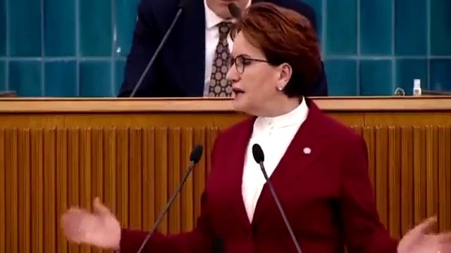 Meral Akşener, şehit ağabeyine 'ahlaksız' dedi