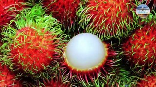 فاكهة الرامبوتان المميزة للغاية / The very special rambutan fruit