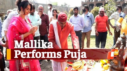 Watch: Mallika Sherawat Performs Mahurat Puja For Upcoming Horror Movie Nagmati