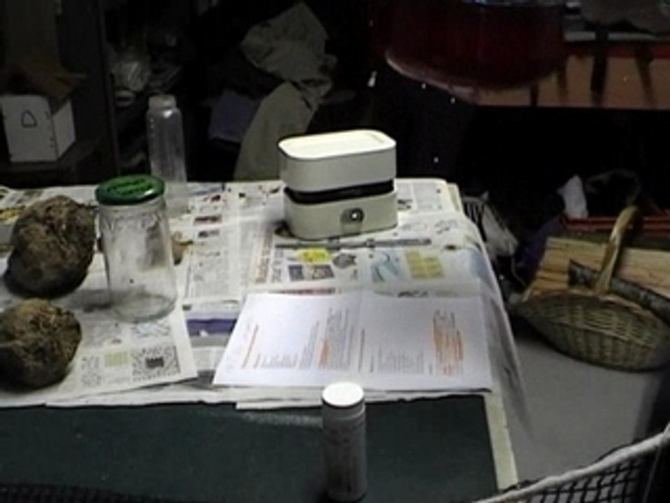 Tpe betterave expérience