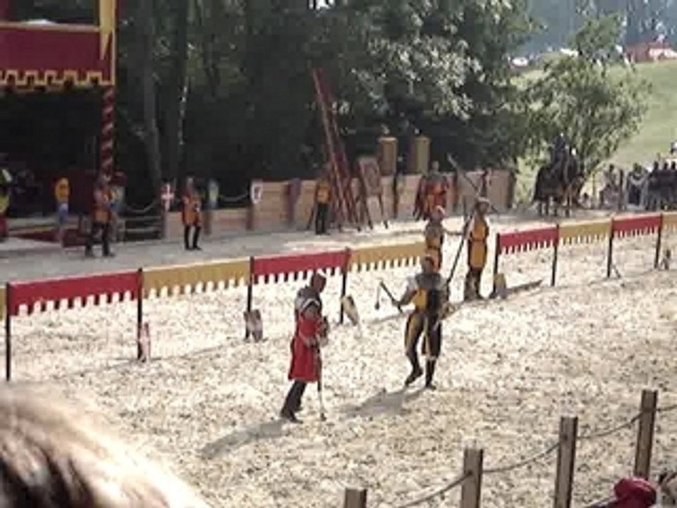 Fête d'Andilly 2007 - combat