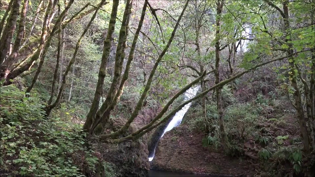 Neuschwanstein Loafer Jack