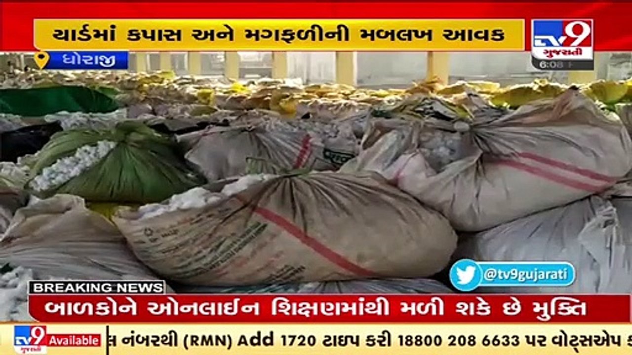 Dhoraji APMC reopened after Diwali holidays today, Rajkot _ TV9News