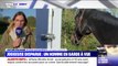 Joggeuse disparue en Mayenne: des renforts sont arrivés pour aider aux recherches