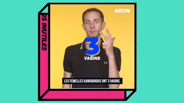 Combien de vagins ont les femelles kangourou ?