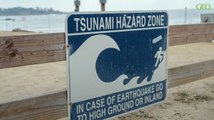 Tsunami : quels sont les signes annonciateurs ?