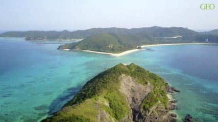 Au Japon, gagnez des vols vers des destinations surprises grâce à des distributeurs automatiques !