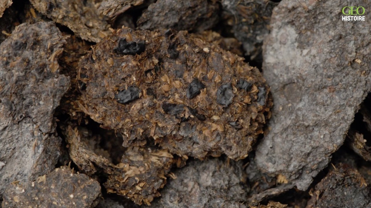 On consommait déjà du fromage et de la bière en Europe il y a 2.700 ans, selon une analyse d'excréments fossilisés