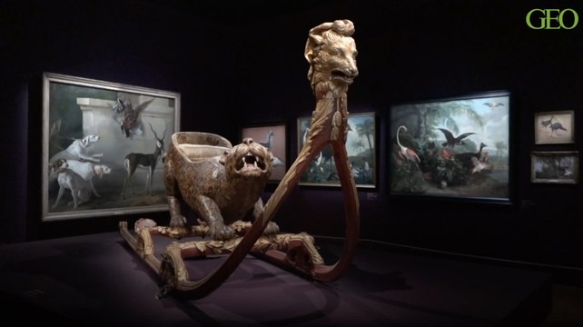 Les animaux domestiques et exotiques du roi s'invitent au château de Versailles