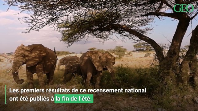 Au Kenya, les grands parcs préparent l'avenir