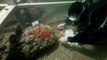 Une mystérieuse épave fouillée par des spécialistes de l'archéologie sous-marine en Bretagne