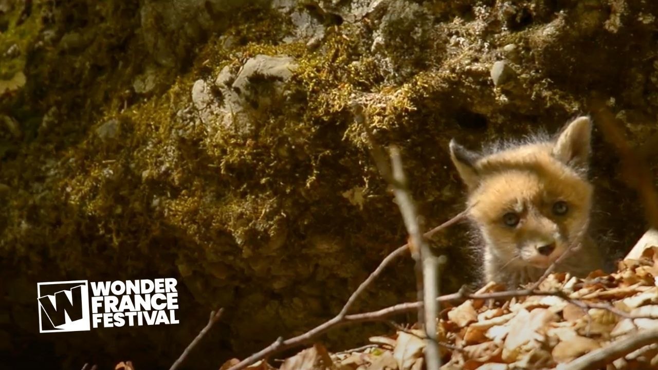 Les Alpes Sauvages de Michael Arzur