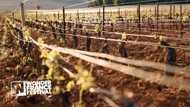 Entre Beaune et Nuits-Saint-Georges de Ludovic Caillot