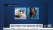 Waived adoption fees for senior pets at Arizona Humane Society