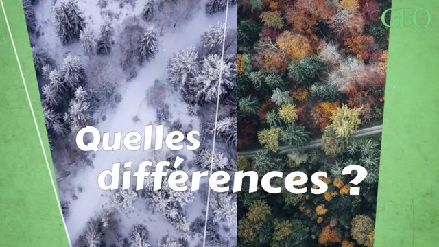 Quelles différences entre un équinoxe et un solstice ?