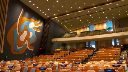 للدبلوماسية فنونها في مقر الامم المتحدة في نيويورك