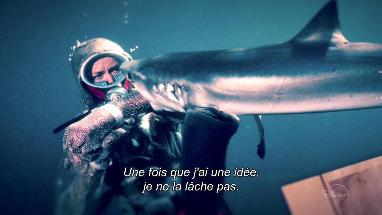 "Face aux requins" : le combat de Valerie Taylor pour la préservation des requins retracé dans un documentaire