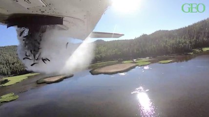 Aux Etats-Unis, des poissons sont largués depuis des avions pour repeupler des lacs