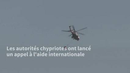 Quatre morts dans un incendie de forêt à Chypre, le pire depuis des décennies
