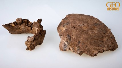 Israël : découverte d'une nouvelle espèce d'homme préhistorique