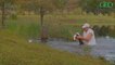 Environnement : ce retraité américain sort son chien de la mâchoire d'un alligator