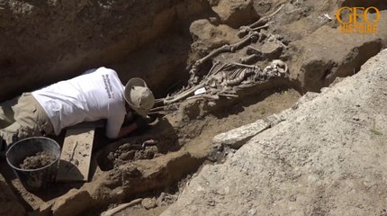 Journées européennes de l'archéologie : demandez le programme !