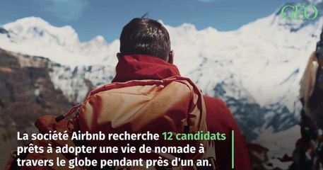 Airbnb recherche des candidats pour vivre une vie nomade gratuitement pendant un an