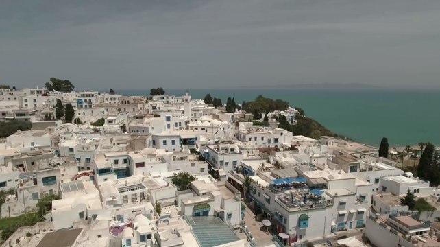 La Tunisie allège ses restrictions sanitaires pour les voyageurs vaccinés ou immunisés contre le coronavirus, à partir du 1er juin 2021