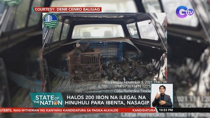 Halos 200 ibon na ilegal na hinuhuli para ibenta, nasagip | SONA