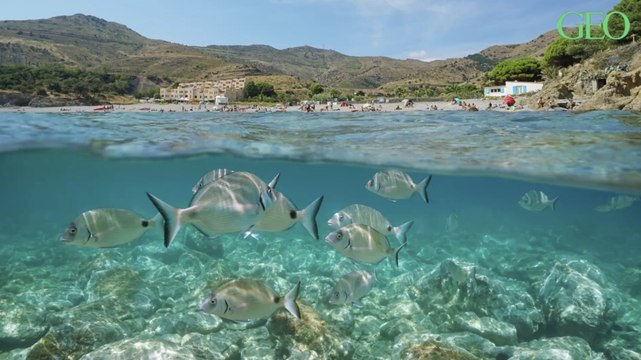 Liste Verte : 7 nouveaux sites français s'ajoutent aux espaces protégés