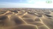 Comment le sable du Sahara fertilise la forêt amazonienne ?
