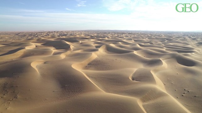 3% de la surface terrestre seraient encore écologiquement intacts