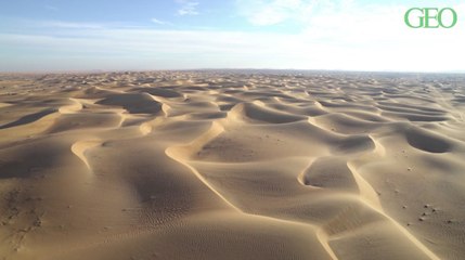 3% de la surface terrestre seraient encore écologiquement intacts