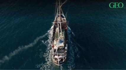 Ce navire établit le record de la plus grande collecte de déchets en haute mer de l’histoire