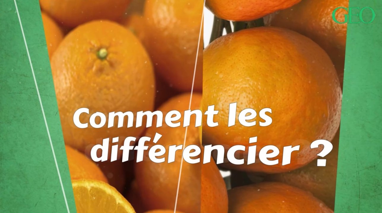 Quelles sont les différences entre une mandarin...