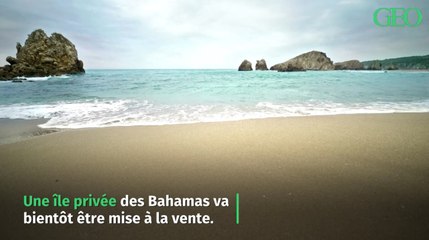 Une île paradisiaque des Bahamas mise en vente aux enchères