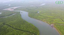 Quelle est la différence entre un fleuve, un lac et un étang ?