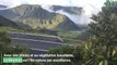 A La Réunion, avec les anges gardiens de la biodiversité