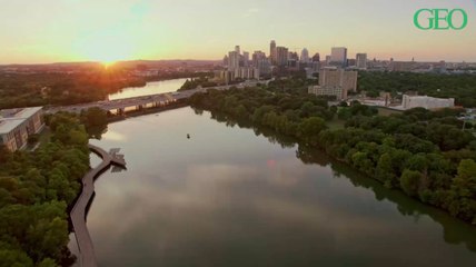 Vivre à proximité des arbres diminuerait les effets négatifs de la pollution atmosphérique