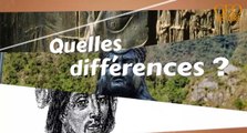 Quelles sont les différences entre les Mayas, les Incas et les Aztèques ?