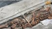Arras : le mystérieux sarcophage en plomb découvert l'an dernier livre ses secrets