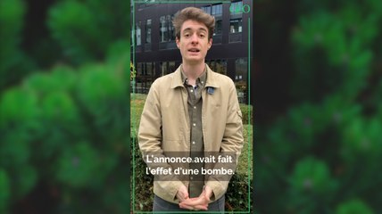 Votre sapin de Noël est-il écolo ?